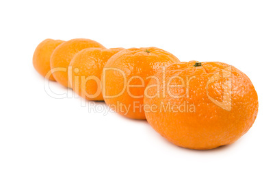 Group of mandarin