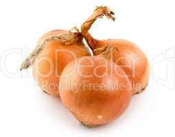 Three onions isolated