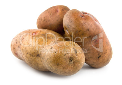 Three potatoes isolated