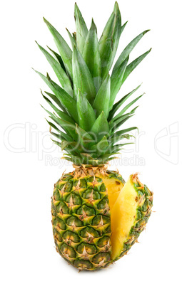 Tropical fruit pineapple