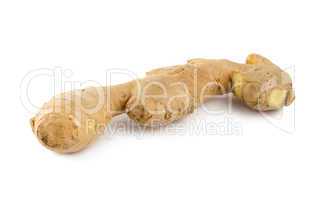 Ginger root isolated