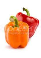 Orange and red peppe