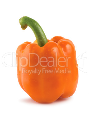 Orange pepper