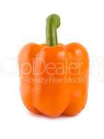 Orange sweet pepper