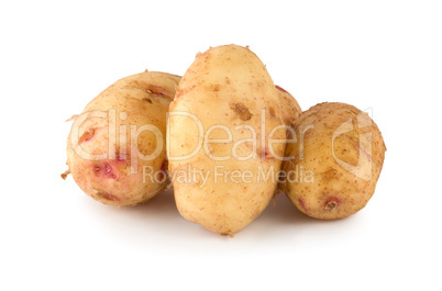 Raw potato isolated on a white