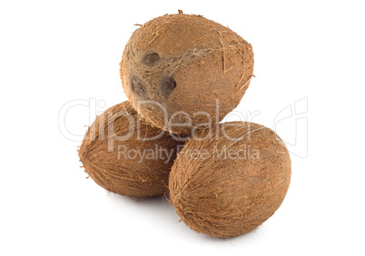 Three coconut isolated