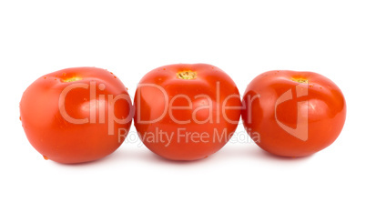 Three tomato isolated