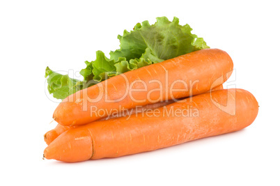 Carrots and lettuce