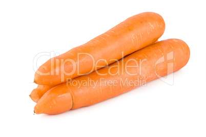 Fresh Carrots Isolated
