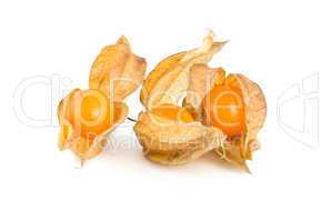 Physalis isolated