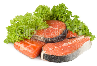 Salmon and lettuce isolated