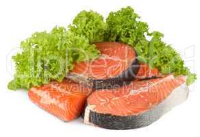 Salmon and lettuce isolated