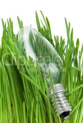 Lamp in grass isolated