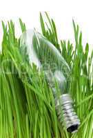 Lamp in grass isolated