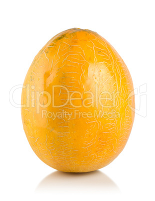 Ripe melon