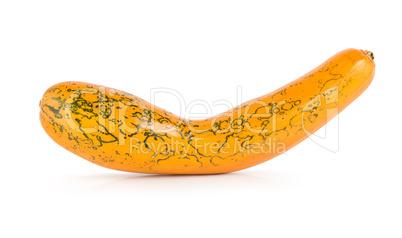 Squash