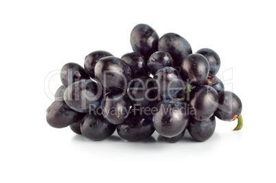 Blue grape isolated