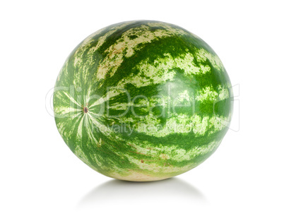 Ripe large watermelon