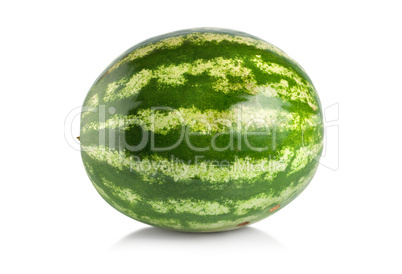 Ripe large watermelon isolated