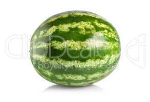 Ripe large watermelon isolated