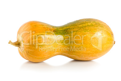 Yellow squash