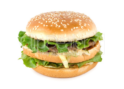 Hamburger isolated