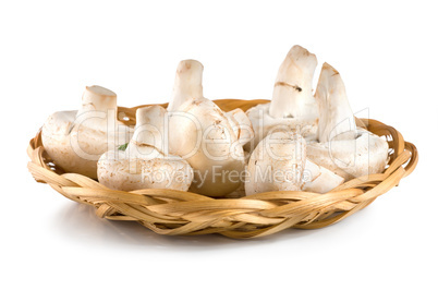 Basket with mushrooms