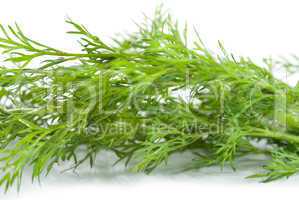 Green dill