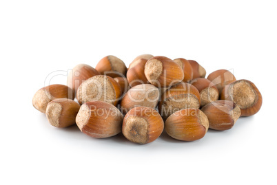 Hazelnut