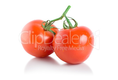 Two ripe tomatoes isolated