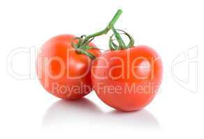 Two ripe tomatoes isolated