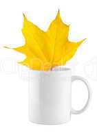 Yellow maple leaf in the cup