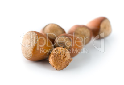 Hazelnuts on a white background