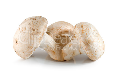 Three champignons isolated