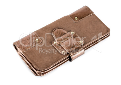 Brown purse