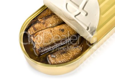 Canned sardines isolated