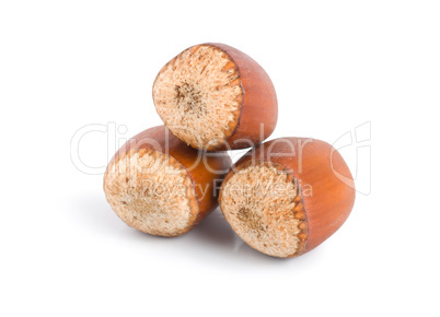 Three hazelnuts