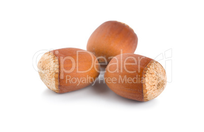 Three ripe hazelnuts