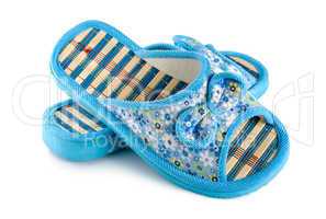 Blue slipper