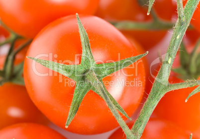 Bunch tomatoes