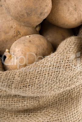 Potatoes in a bag