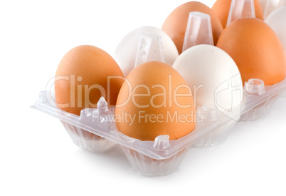 Tray eggs isolated