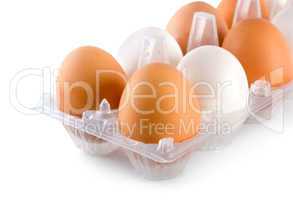 Tray eggs isolated