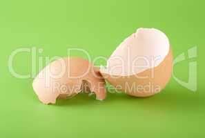 Egg shell on a green background