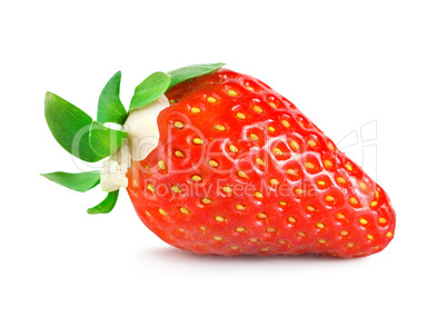 Strawberries with green leaves