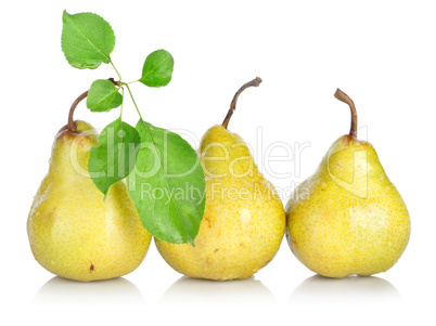 Yellow pears with green leafs