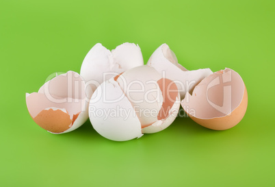Group pieces of egg shell