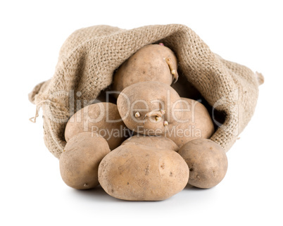 Raw potatoes in a hessian sack isolated