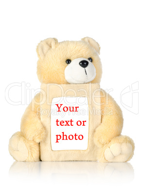 Teddy bear with photo frame