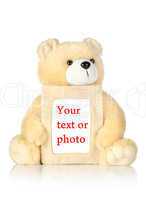 Teddy bear with photo frame